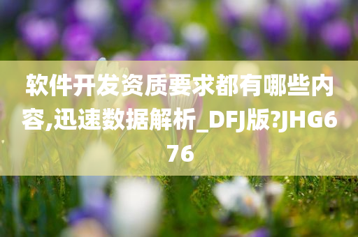 软件开发资质要求都有哪些内容,迅速数据解析_DFJ版?JHG676