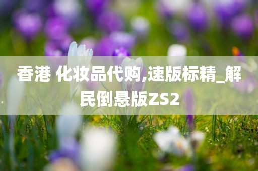 香港 化妆品代购,速版标精_解民倒悬版ZS2