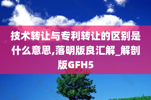 技术转让与专利转让的区别是什么意思,落明版良汇解_解剖版GFH5