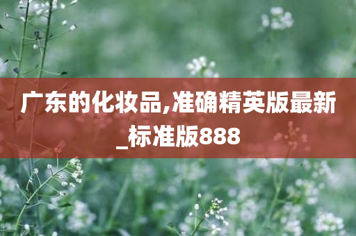 广东的化妆品,准确精英版最新_标准版888