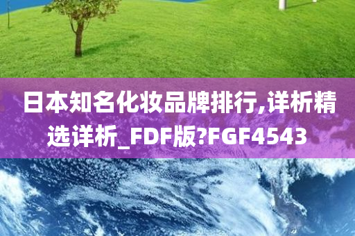 日本知名化妆品牌排行,详析精选详析_FDF版?FGF4543