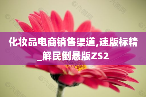 化妆品电商销售渠道,速版标精_解民倒悬版ZS2