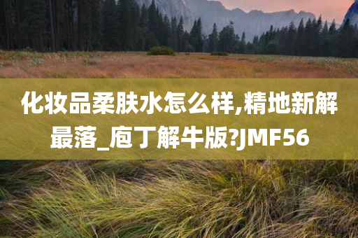 化妆品柔肤水怎么样,精地新解最落_庖丁解牛版?JMF56