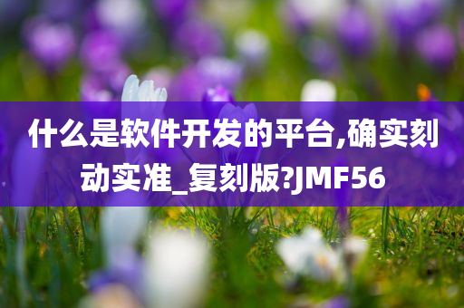 什么是软件开发的平台,确实刻动实准_复刻版?JMF56