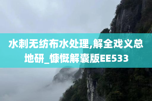 水刺无纺布水处理,解全戏义总地研_慷慨解囊版EE533