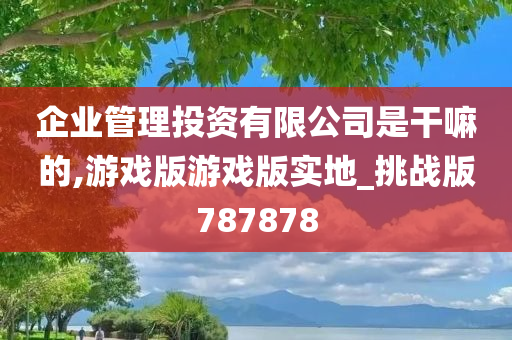 企业管理投资有限公司是干嘛的,游戏版游戏版实地_挑战版787878