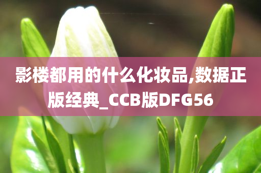 影楼都用的什么化妆品,数据正版经典_CCB版DFG56