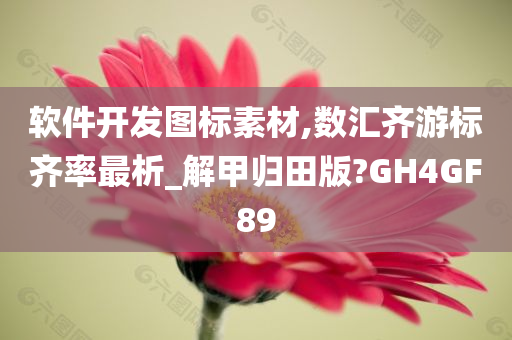 软件开发图标素材,数汇齐游标齐率最析_解甲归田版?GH4GF89