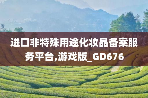 进口非特殊用途化妆品备案服务平台,游戏版_GD676