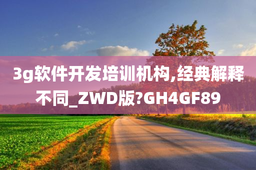 3G开发