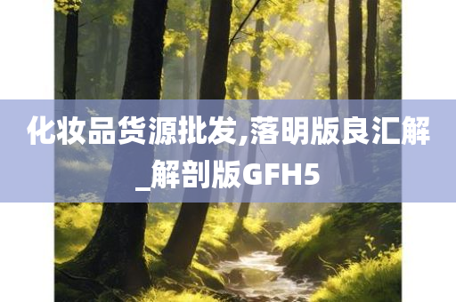 化妆品货源批发,落明版良汇解_解剖版GFH5