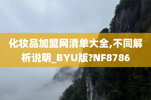 化妆品加盟网清单大全,不同解析说明_BYU版?NF8786