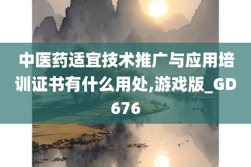 中医药适宜技术推广与应用培训证书有什么用处,游戏版_GD676