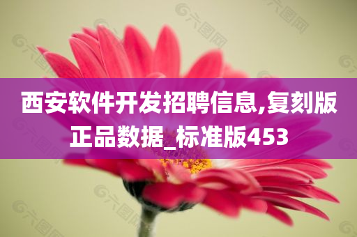 西安软件开发招聘信息,复刻版正品数据_标准版453