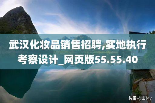 武汉化妆品销售招聘,实地执行考察设计_网页版55.55.40