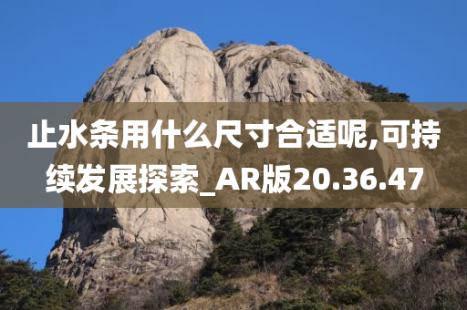 止水条用什么尺寸合适呢,可持续发展探索_AR版20.36.47