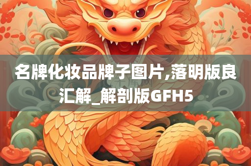 名牌化妆品牌子图片,落明版良汇解_解剖版GFH5