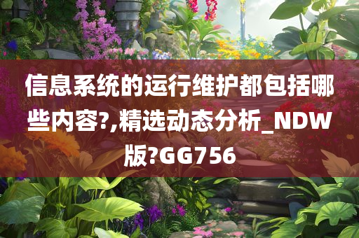 信息系统的运行维护都包括哪些内容?,精选动态分析_NDW版?GG756