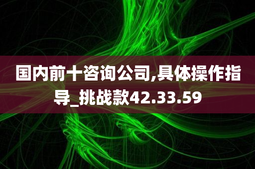 国内前十咨询公司,具体操作指导_挑战款42.33.59