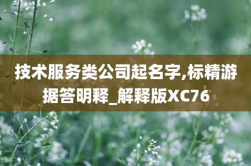 技术服务类公司起名字,标精游据答明释_解释版XC76