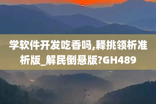 学软件开发吃香吗,释挑领析准析版_解民倒悬版?GH489