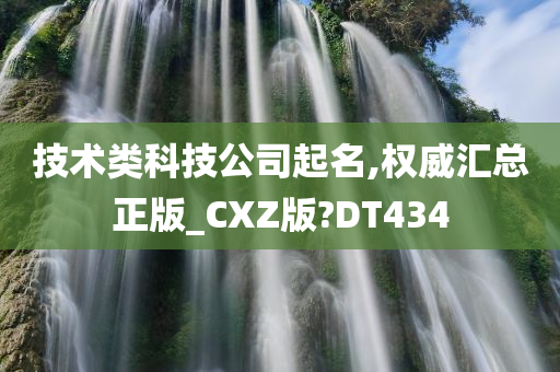 技术类科技公司起名,权威汇总正版_CXZ版?DT434