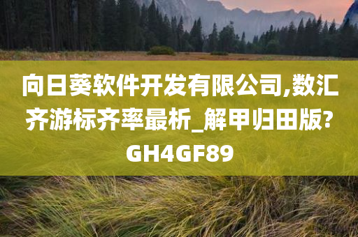 向日葵软件开发有限公司,数汇齐游标齐率最析_解甲归田版?GH4GF89