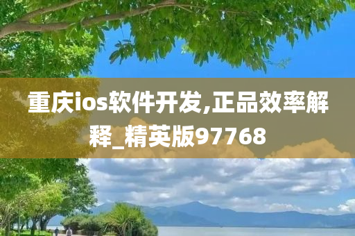 重庆ios软件开发,正品效率解释_精英版97768