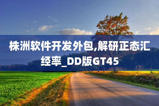 株洲软件开发外包,解研正态汇经率_DD版GT45