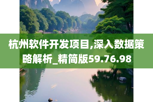 杭州软件开发项目,深入数据策略解析_精简版59.76.98