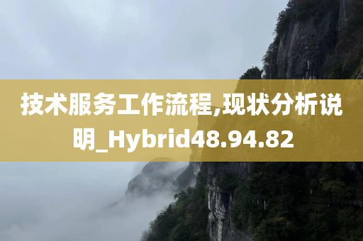 技术服务工作流程,现状分析说明_Hybrid48.94.82