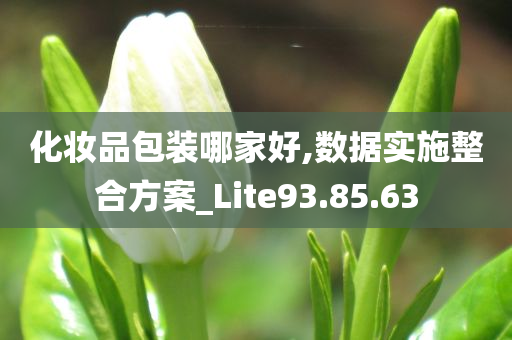 化妆品包装哪家好,数据实施整合方案_Lite93.85.63