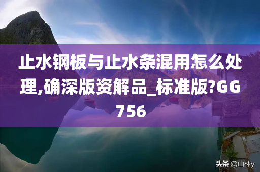 止水钢板与止水条混用怎么处理,确深版资解品_标准版?GG756