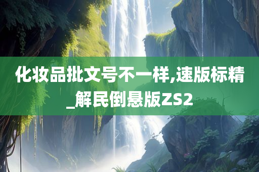 化妆品批文号不一样,速版标精_解民倒悬版ZS2