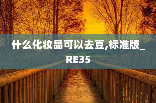 什么化妆品可以去豆,标准版_RE35