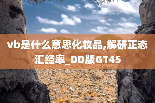 vb是什么意思化妆品,解研正态汇经率_DD版GT45