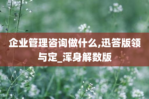 企业管理咨询做什么,迅答版领与定_浑身解数版