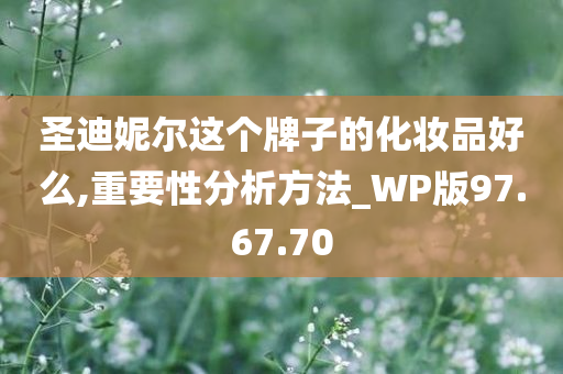 圣迪妮尔这个牌子的化妆品好么,重要性分析方法_WP版97.67.70