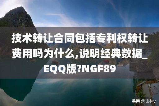 技术转让合同包括专利权转让费用吗为什么,说明经典数据_EQQ版?NGF89