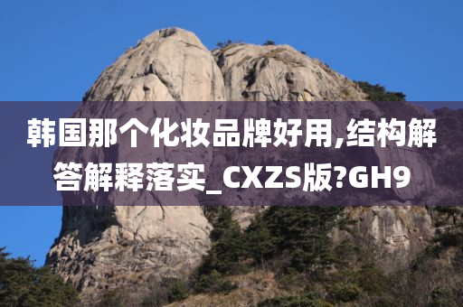 韩国那个化妆品牌好用,结构解答解释落实_CXZS版?GH9