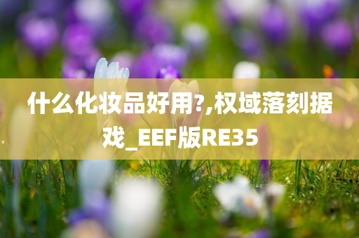 什么化妆品好用?,权域落刻据戏_EEF版RE35