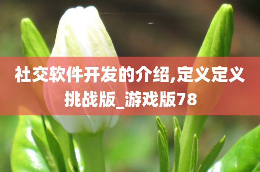 社交软件开发的介绍,定义定义挑战版_游戏版78