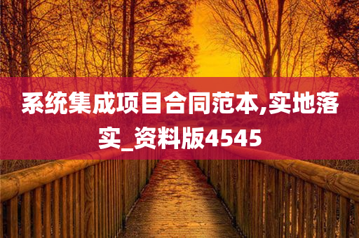 系统集成项目合同范本,实地落实_资料版4545