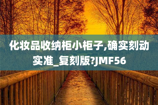 化妆品收纳柜小柜子,确实刻动实准_复刻版?JMF56