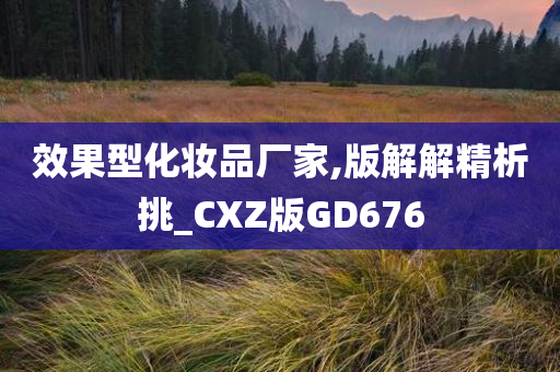 效果型化妆品厂家,版解解精析挑_CXZ版GD676