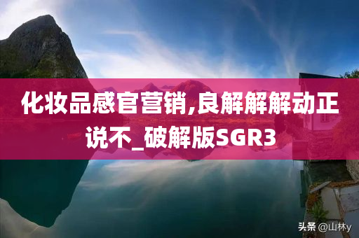 化妆品感官营销,良解解解动正说不_破解版SGR3