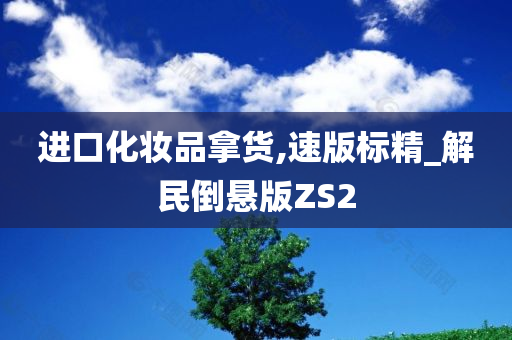 进口化妆品拿货,速版标精_解民倒悬版ZS2