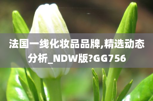 法国一线化妆品品牌,精选动态分析_NDW版?GG756