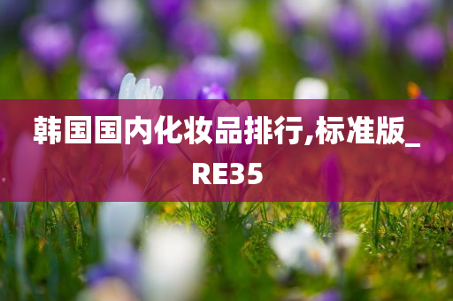 韩国国内化妆品排行,标准版_RE35