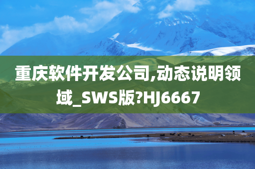 重庆软件开发公司,动态说明领域_SWS版?HJ6667